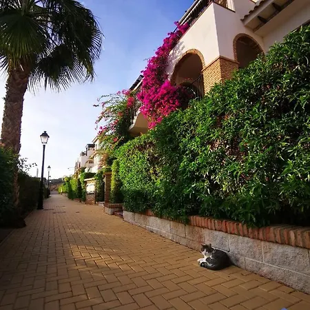 Vida Mia Almeria